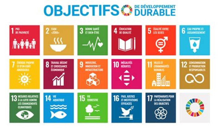 Visuel synthétisant les 17 objectifs du développement durable de l'ONU.