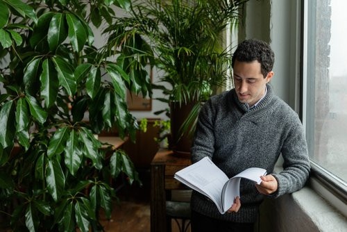 Photo illustrant les liens visuels avec la nature : vue d’éléments de la nature, de systèmes vivants et de processus naturels.