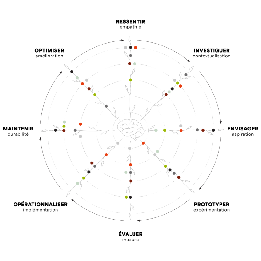 Visuel inspiré du Leadership Circle représentant les compétences complémentaires des membres de l'équipe d'OROKOM.